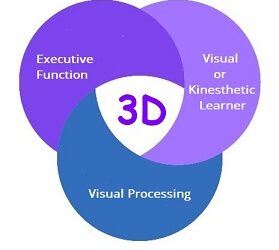 Is Your Child a Kinesthetic Learner with Executive Function and/or Visual Processing Issues — Assess for Success and for Disabilities