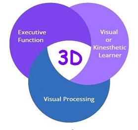 The Visual or Kinesthetic Learner often has Executive Function Issues and Frequently Has a Visual Processing Issue is Often Far Behind and has the Potential to Make Significant Gains in Months Not Years