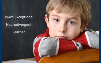 Twice Exceptional Neurodivergent Learners are Often Right Brain Kinesthetic Learners with Executive Function Challenges