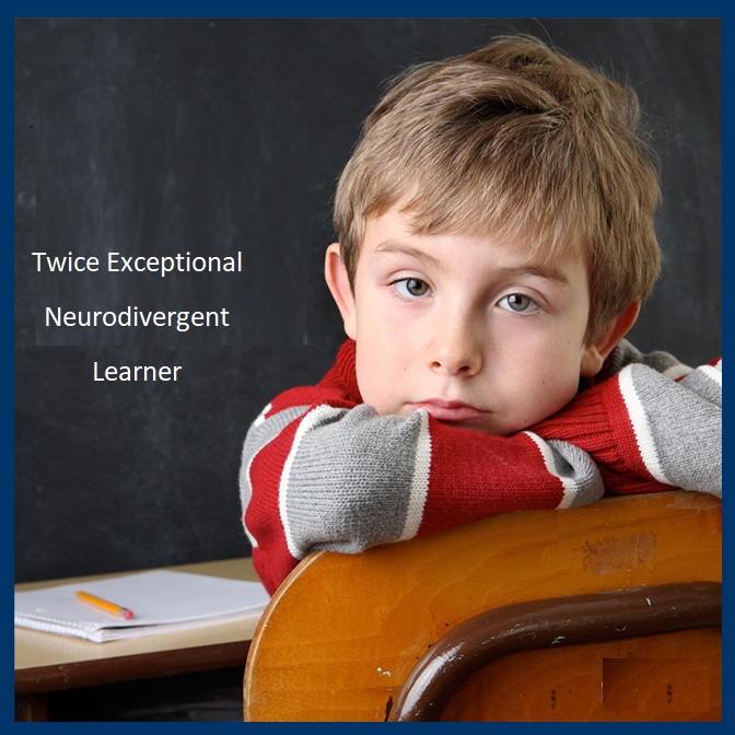 Twice Exceptional Neurodivergent Learners are Often Right Brain Kinesthetic Learners with Executive Function Challenges